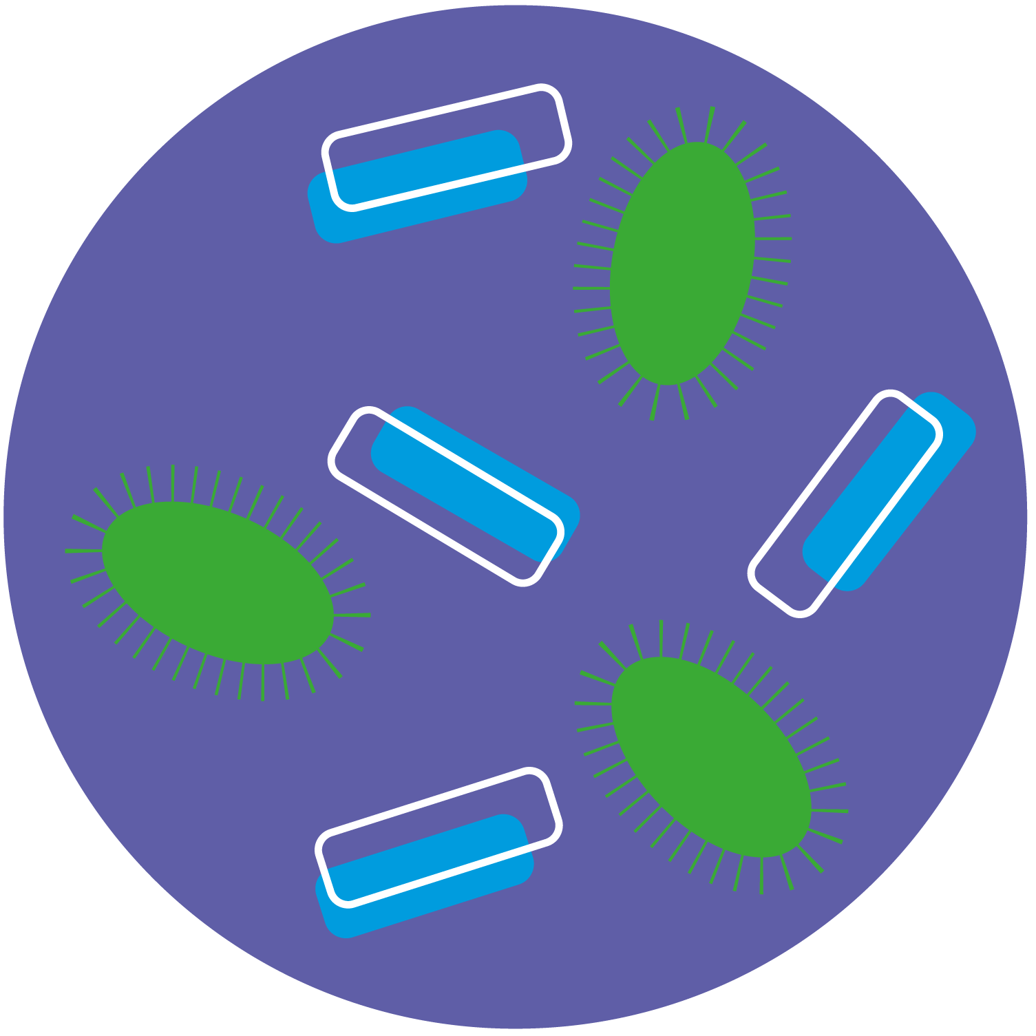 prebiotics and probiotics