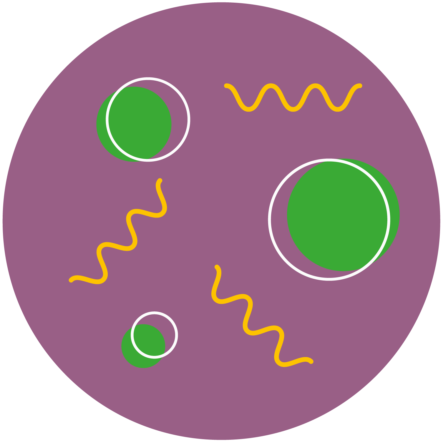 prebiotics and probiotics